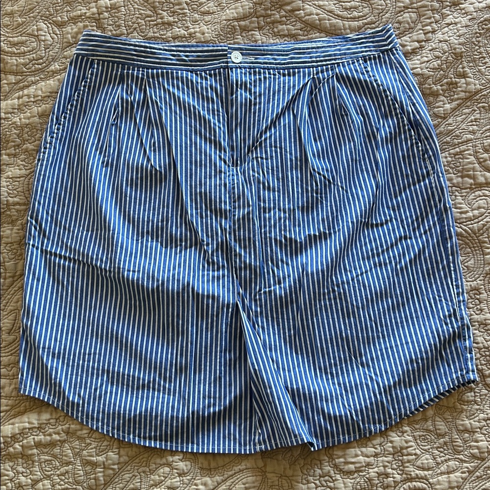 Banana Republic Cotton Blue and White Striped Lined Skirt, size 12